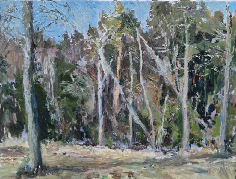 Vaidotas Vankevičius „Rudeninio miško fragmentas“, 2021, 41x33, aliejus, lininė drobė
