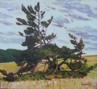 Arvydas Kašauskas- pajūrio motyvai